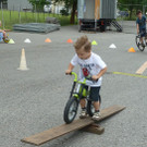 Steinbock22_jpg-1339950220