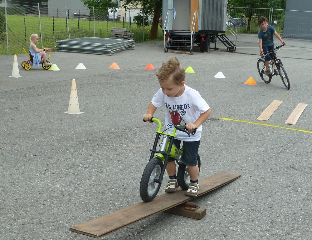 Steinbock22_jpg-1339950220