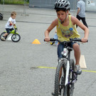 Steinbock23_jpg-1339950225