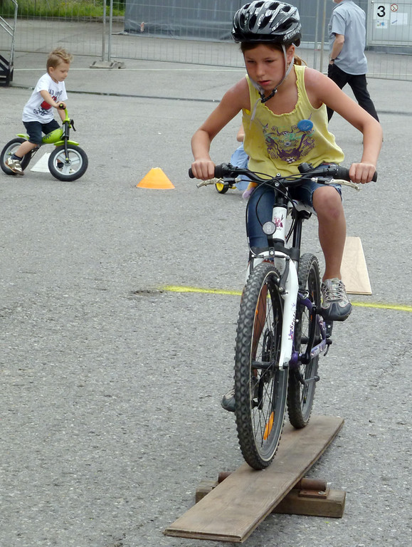 Steinbock23_jpg-1339950225