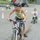 Steinbock25_jpg-1339950236