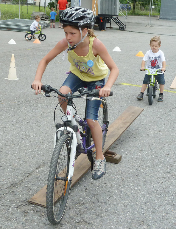 Steinbock25_jpg-1339950236