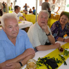 Schneider11_jpg-1339959369