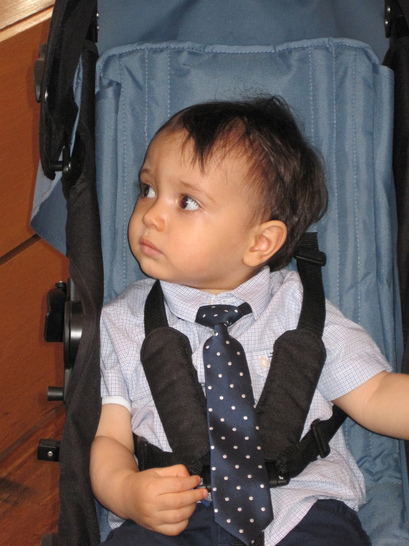 IMG_3662_JPG-1339964010