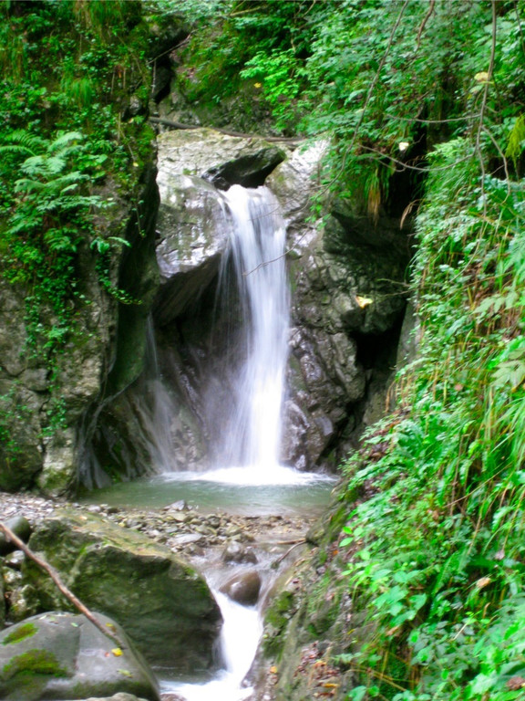 BK_Oerfla2012 7_jpg-1339967081