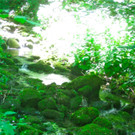 BK_Oerfla2012 14_jpg-1339967135
