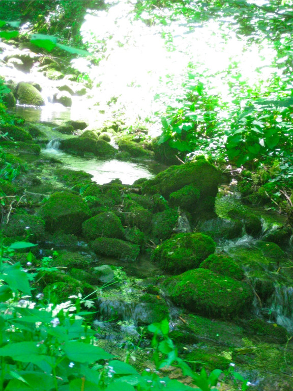 BK_Oerfla2012 14_jpg-1339967135