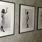 113_0171_JPG-1339967562