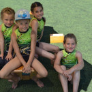 VM Turner 2012
