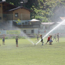 DSC_5597.jpg