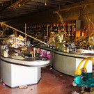 DSC06888.jpg