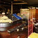 DSC06894.jpg