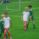 Souveräner Meister
