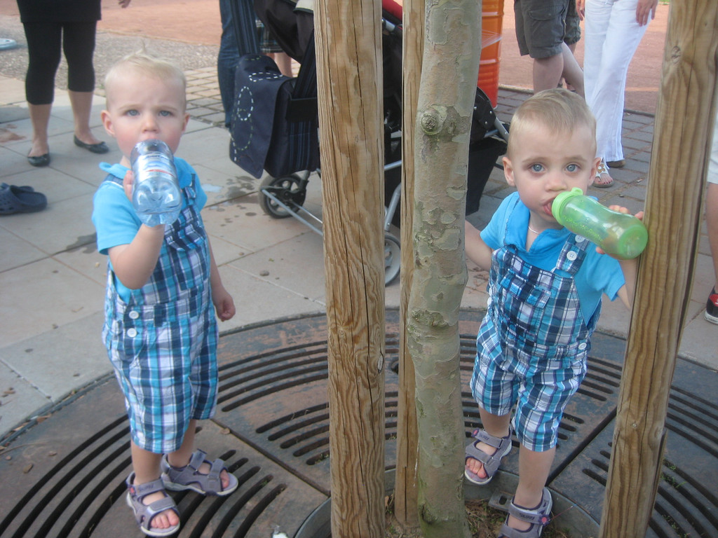 IMG_5841_JPG-1340008595