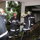 IMG_5296_jpg-1340014772