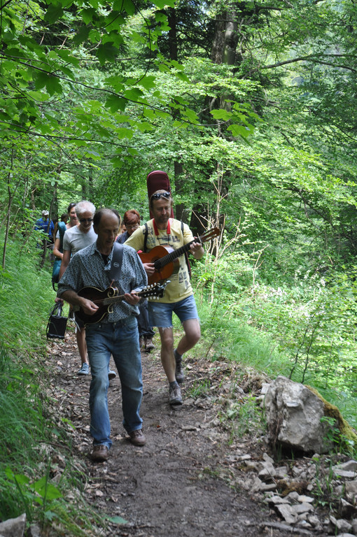DSC_0135_JPG-1340019879