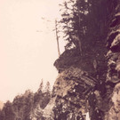 Ero__ffnung des Waldweges _2__JPG-1340020543