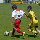 117_bearbeitet-1.jpg