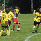 225_bearbeitet-1.jpg
