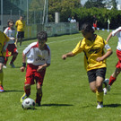 229_bearbeitet-1.jpg