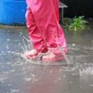 IMG_1338_jpg-1340047632