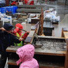 IMG_1383_jpg-1340047740