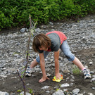 P6152430.jpg