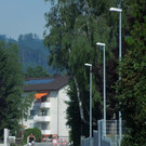 Juni 19 022.JPG