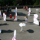 IMG_6152_jpg-1340102614