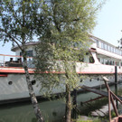 IMG_3316.JPG