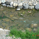 DSC00004_JPG-1340136366