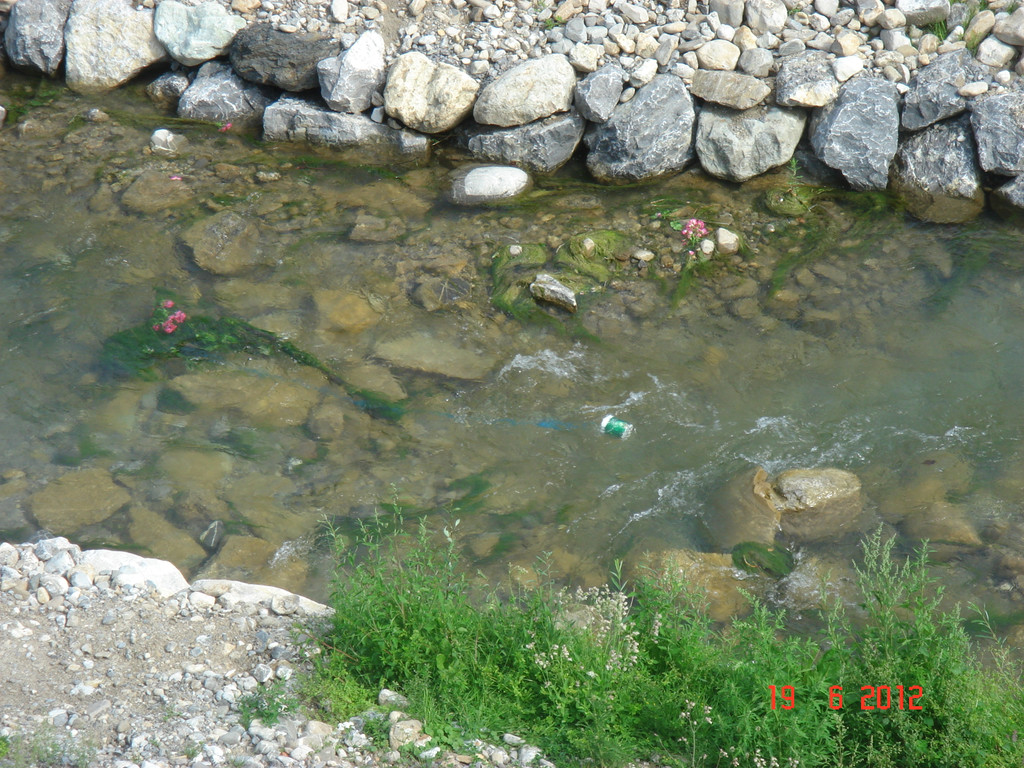 DSC00004_JPG-1340136366