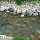 DSC00008_JPG-1340136388