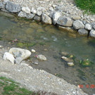 DSC00005_JPG-1340136413