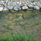 DSC00006_JPG-1340136437