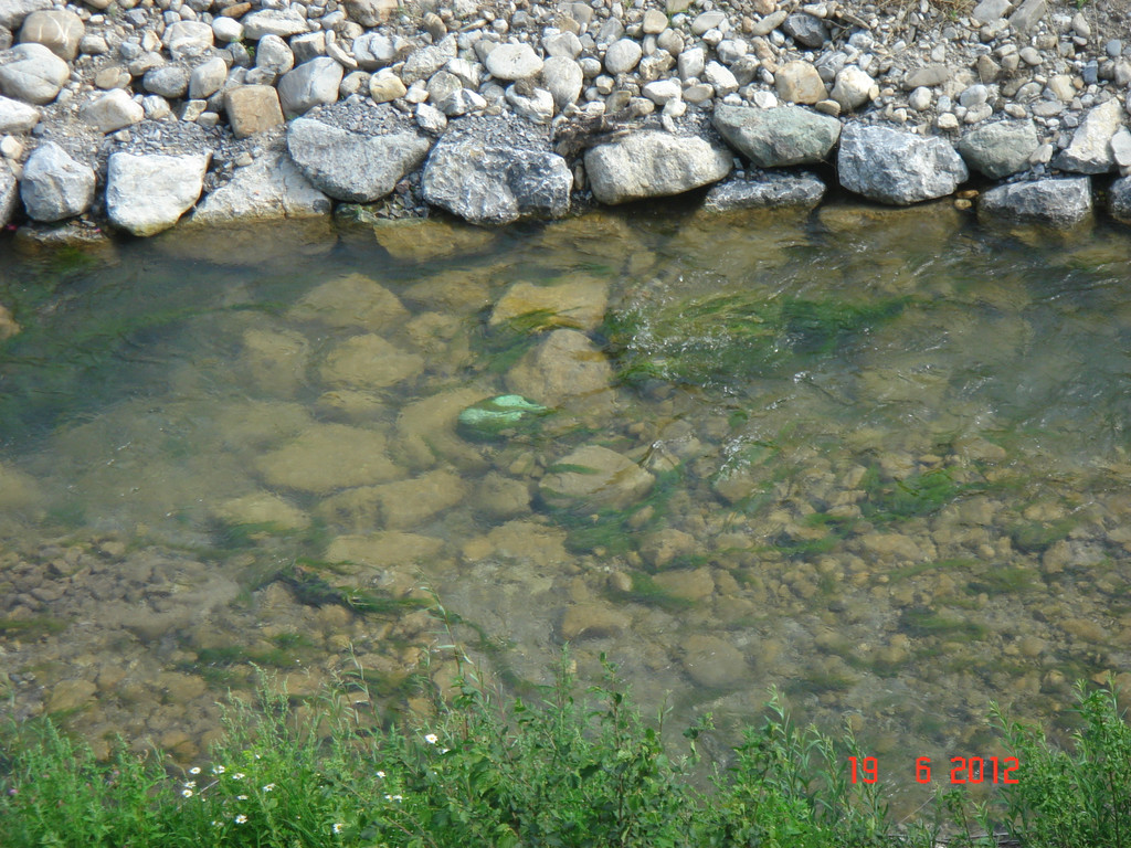 DSC00006_JPG-1340136437