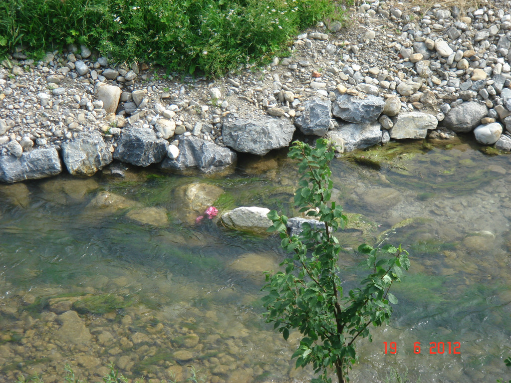 DSC00007_JPG-1340136461