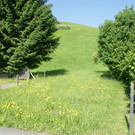 DSC05170.JPG