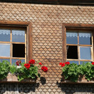 DSC05174.JPG
