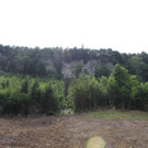 IMG_3355.JPG