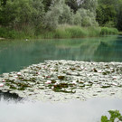 DSC01507.JPG