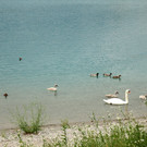 DSC01525.JPG