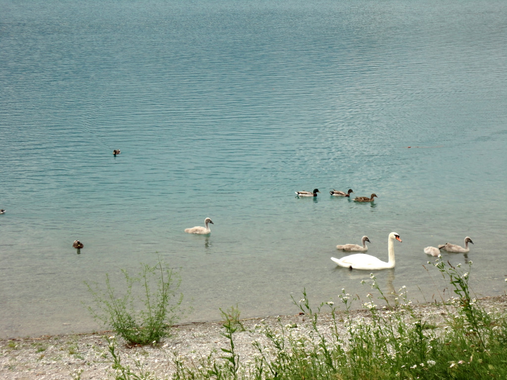 DSC01525.JPG