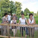 DSC_0837.JPG