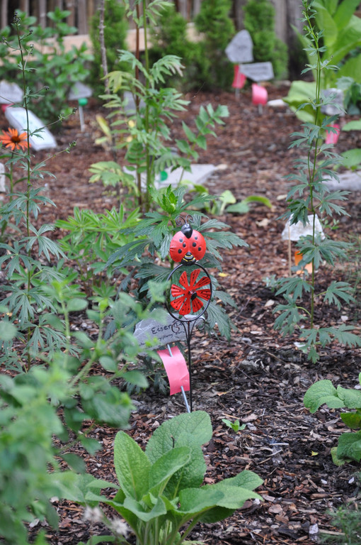 DSC_0858.JPG