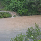 DSC_0044.jpg