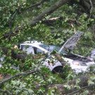 DSC_0077.jpg