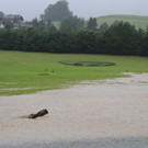 normal_20062012fmt_unwetter_fm_09.JPG