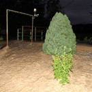 normal_20062012fmt_unwetter_fm_33.JPG