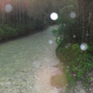 20062012wasde01003 _1_.JPG